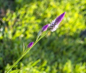 20150920_5029