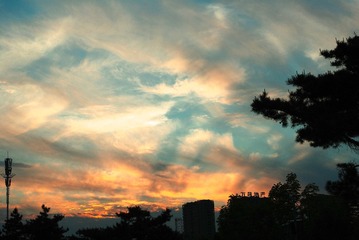 IMGP5799_