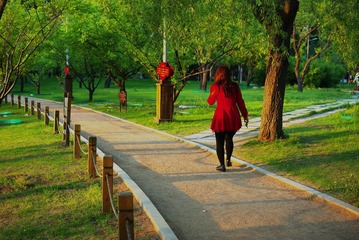 IMGP5794_