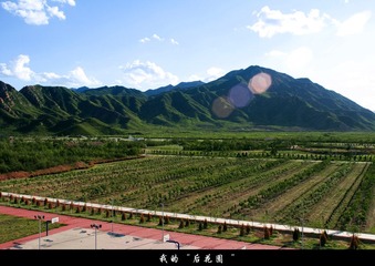 我的后花园