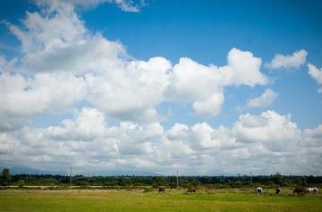 DSC_4070