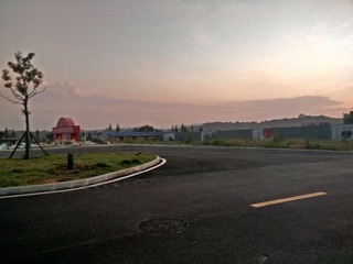 2165293