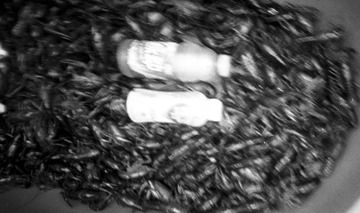 IMG-9000ED-74690