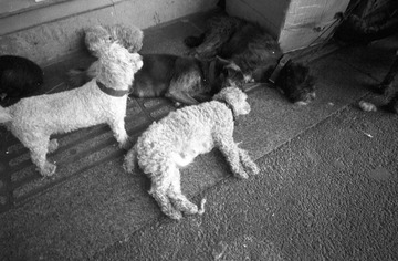 IMG-9000ED-74692