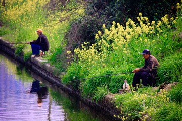 钓鱼 Fishing