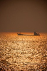 江海 Gold  Yangtze