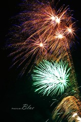 IMG_3583.jpg