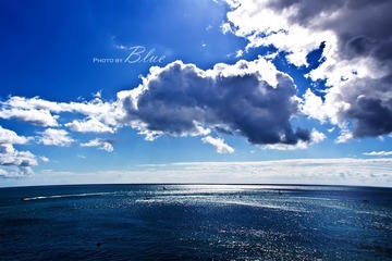 IMG_2986.jpg