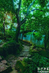 1DSC08619