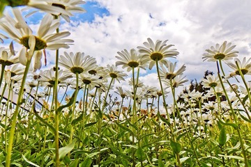 IMG_7082_2.jpg