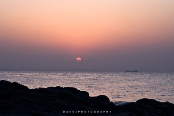 DSC_0398.jpg