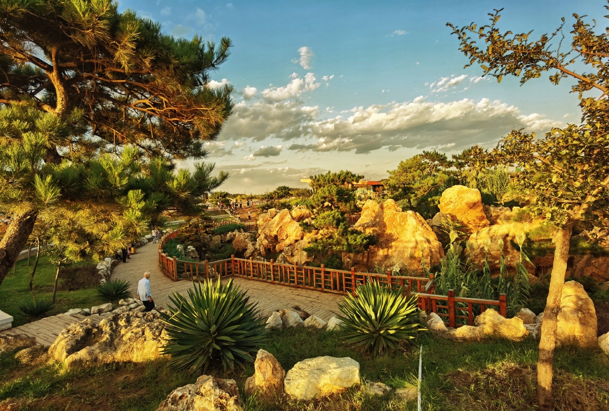 龙泉湖湿地公园