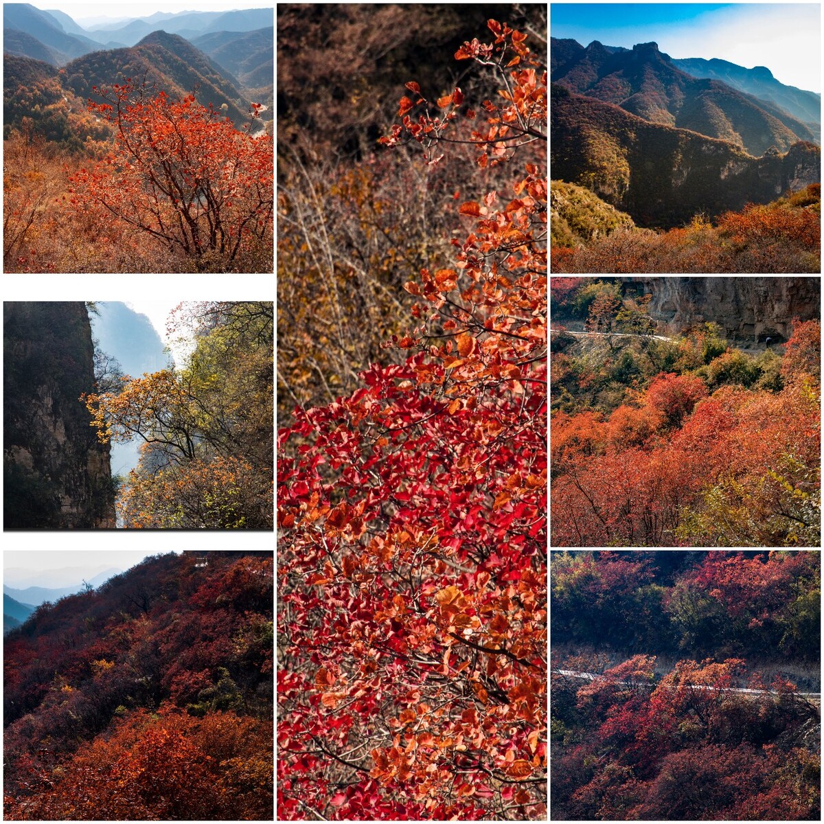 国内秋季旅游绝色十景