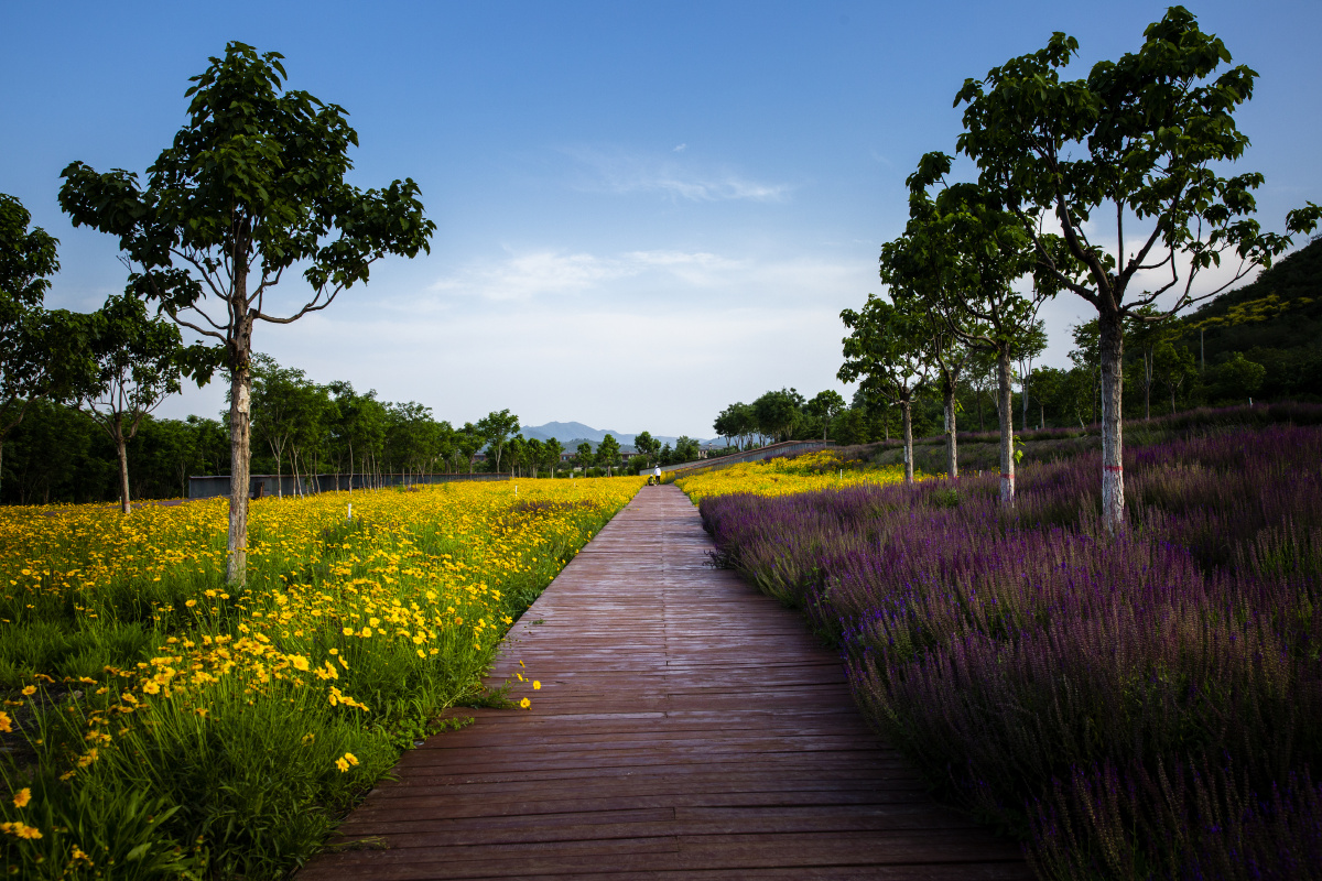 石榴红了主题公园一角