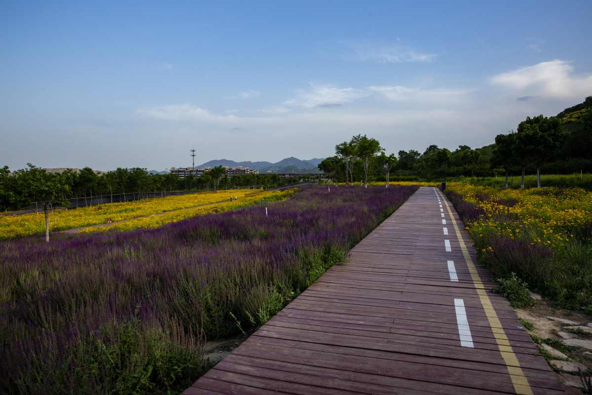 石榴红了主题公园一角