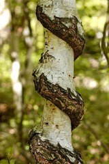 中科院奥运村园区-微生物所