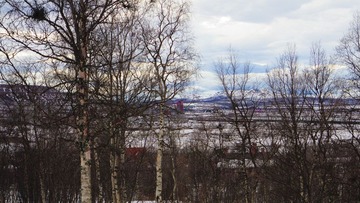 IMG_6035.jpg