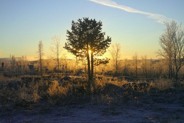 IMG_6785.jpg