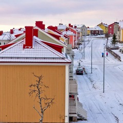 IMG_6467.jpg