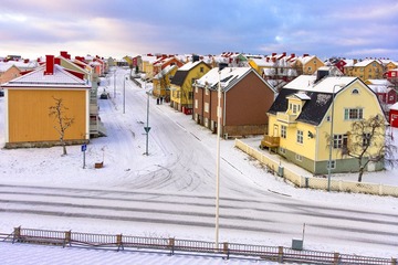 IMG_6484.jpg