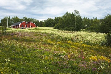 IMG_9856.jpg