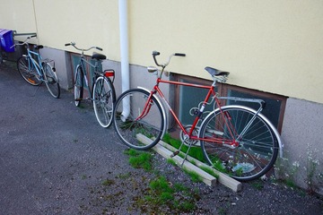 IMG_9565.jpg