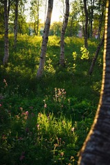 IMG_9624.jpg