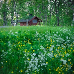 IMG_9646.jpg