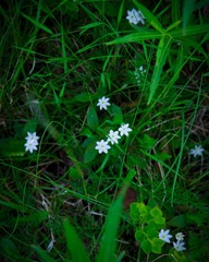 IMG_9664.jpg