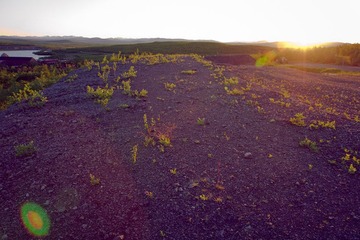 IMG_9785.jpg