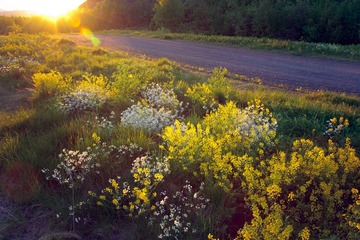 IMG_9809.jpg