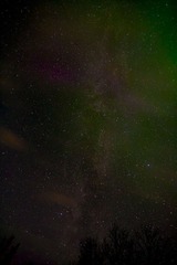 IMG_5914.jpg