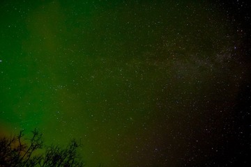 IMG_5915.jpg