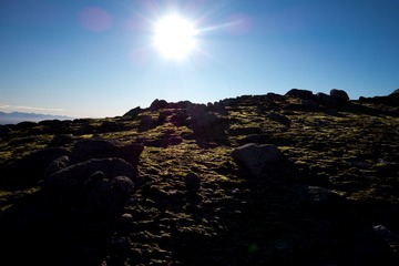 DSC02674.jpg