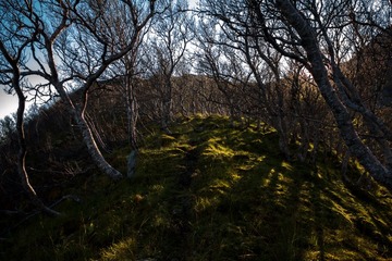 DSC03032.jpg