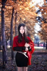 北京丰台的不知名银杏林秋色