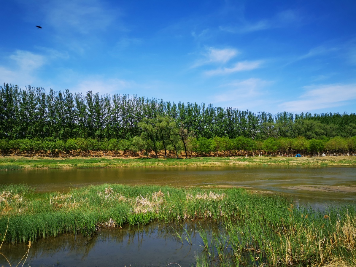 温榆河畔