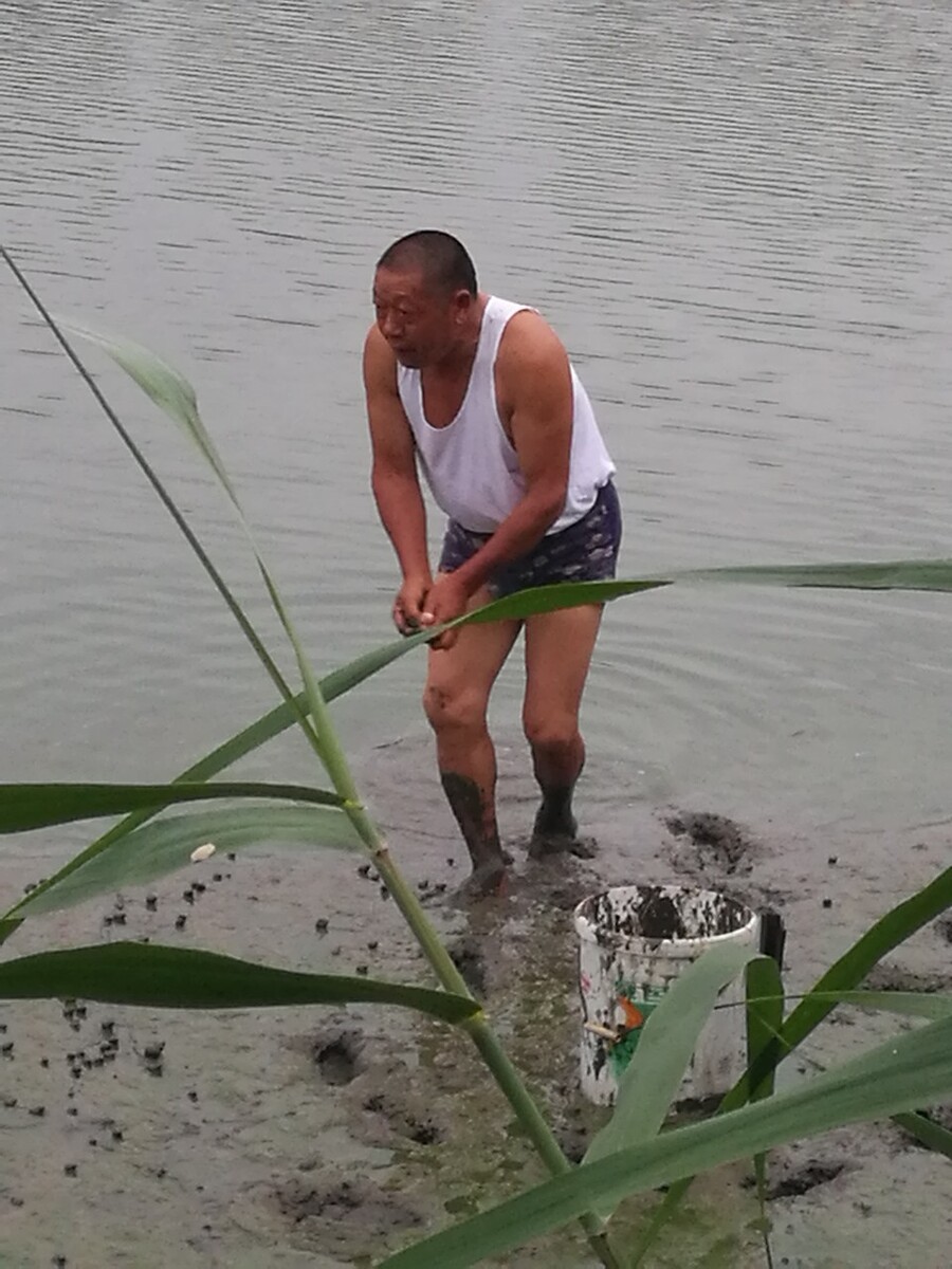 北京 公司 到 考察 冷水鱼 养殖,如何养殖冷水鱼?
