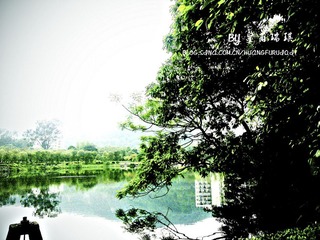 20100417520