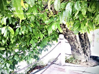 20100417531