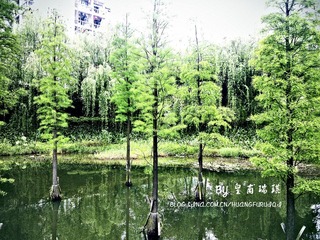 20100417529