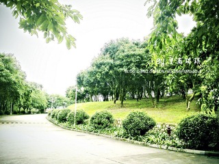 20100417523