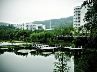 20100417524