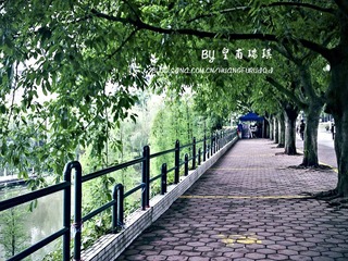 20100417526
