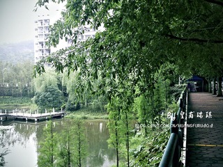 20100417525
