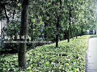 20100417535