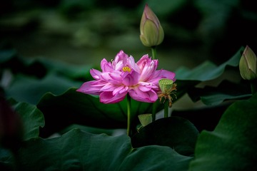 _AAD5672-1