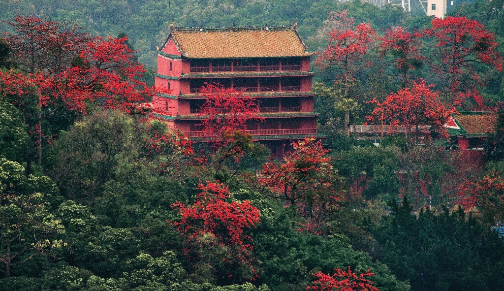 ~在约翰-汤姆逊《中国与中国人影像》一书里~讲到广州时~有这样一段话~“广州，虽然一直宣称自己拥有久远的历史，但是城里保留下来的古代遗迹很少”~ “五层楼”确实是为数不多的古迹之一~虽然经历多次天灾人祸而重建~广州三月正值越秀山木棉盛开之际~衬着五层楼也挺好看~