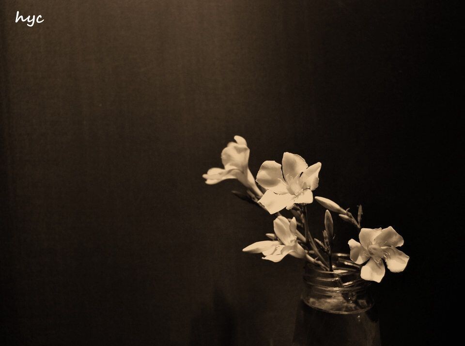 2012.1.4<br />
今天晚上好安静~好想画画~