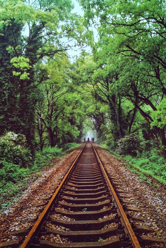 这条铁道是在韶关生活网很火的一条铁道 位于马坝的大宝山支线 因为韶关不像广州交通相对不发达 而且这里真的很偏所以对这里没什么关注 这次去扫墓一下车就看到了这条铁道 很漂亮~因为要办正事 而且拜祭完天就要下雨了 还有中午吃完饭就得赶回广州上班 所以没深入的往里面走走 只在路口用手机拍了几张 就匆匆的走了~好漂亮  可以媲美乌克兰那条铁道 下次要是有时间真的要认真的拍一拍（摄于广东韶关马坝大宝山支线）